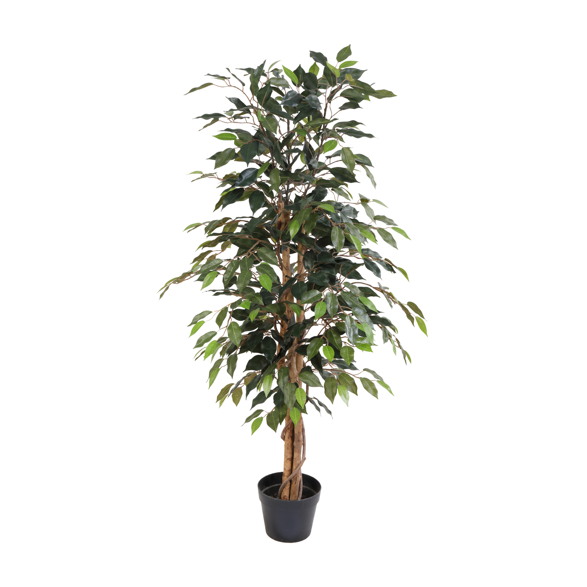 ARTIFICIAL Ficus Benjamina - 130cm