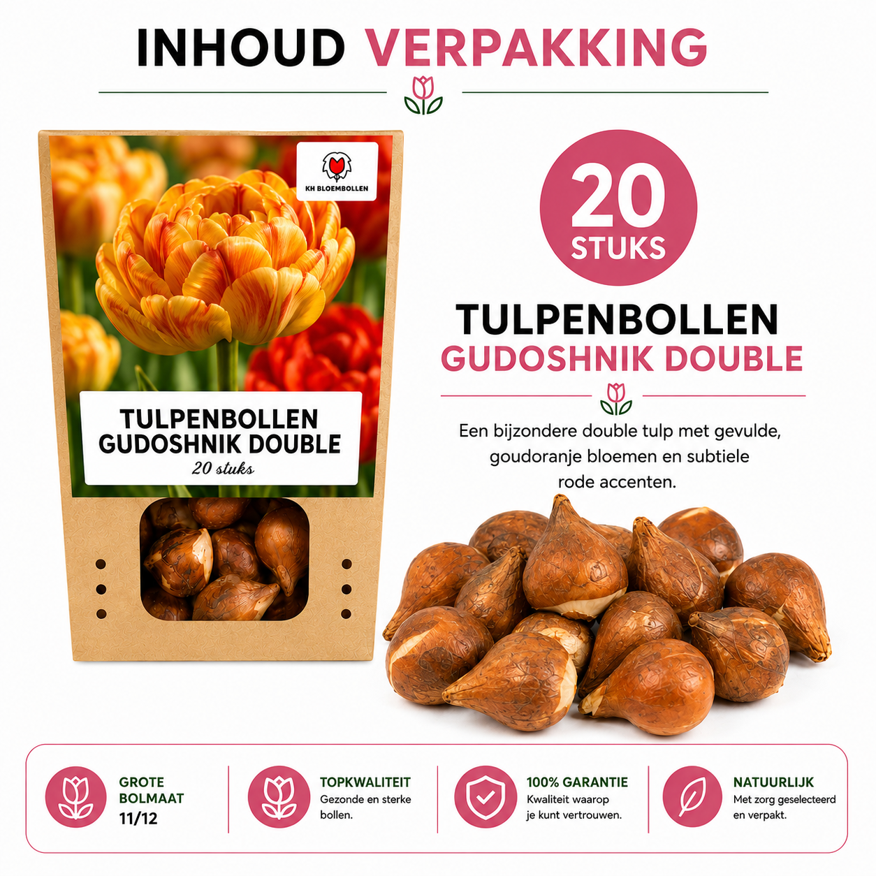 Tulpenbollen Gudoshnik Double – 20 Stuks | KH Bloembollen® | Geel, Oranje & Rode Dubbelbloemige Tulp – Pioenachtig & Kleurrijk – Voor Tuin of Pot – Maat 11/12 – Vers van de Teler
