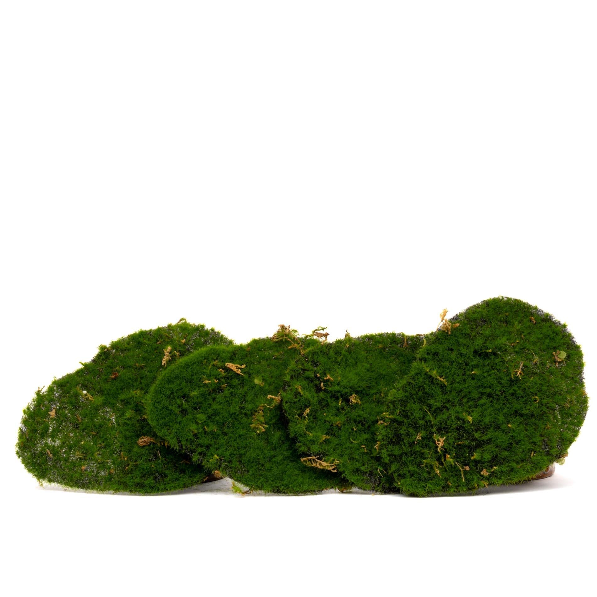 Mosplaat – Groen mos – Set van 4 – Kunstmos - ARTIFICIAL