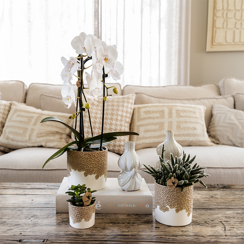 Kolibri Home | Bloom sierpot - Sand - Ø6cm