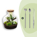 DIY Planten terrarium met licht -  Fat Joe - Ø 29 cm ↑ 30 cm - Rake + Shovel + Tweezer