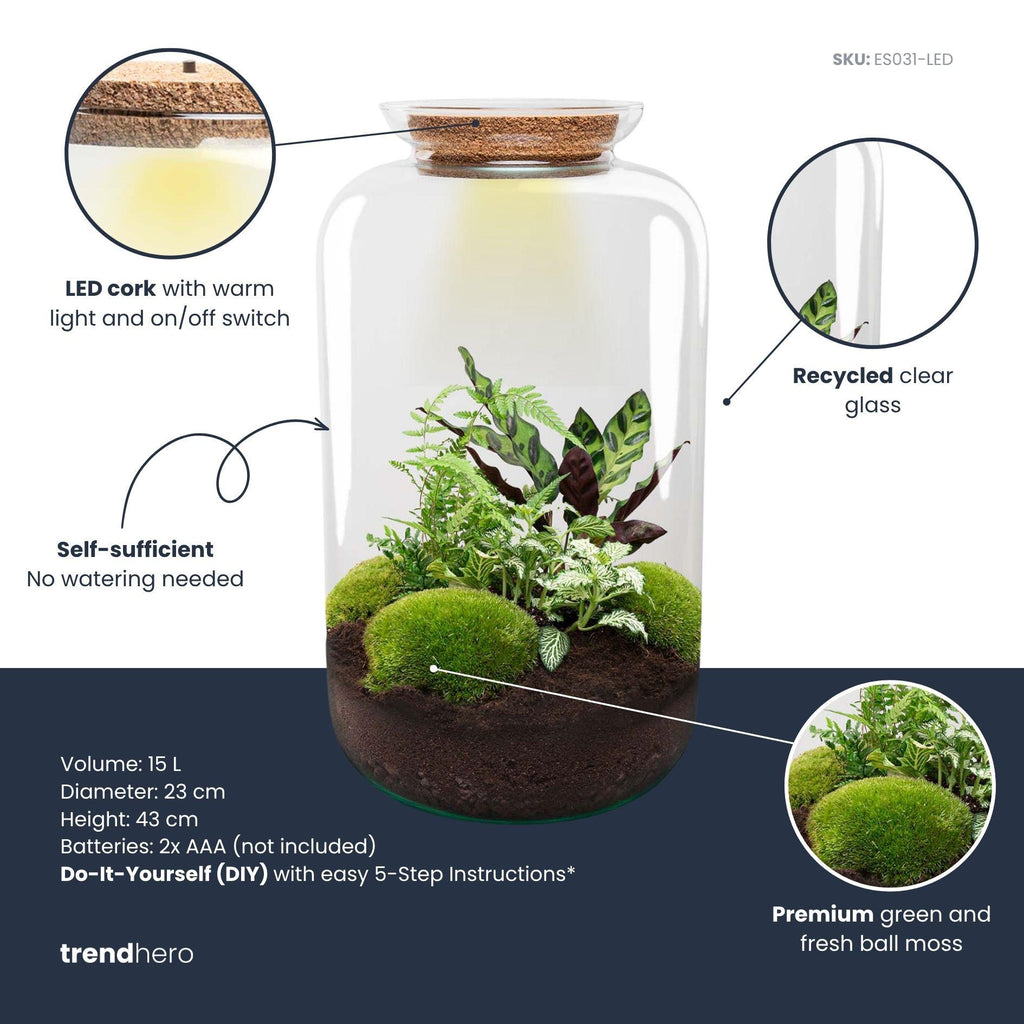DIY Planten terrarium met licht - Sven XL Botanical - Ø 23 cm ↑ 43 cm - Rake + Shovel + Tweezer + Scissors