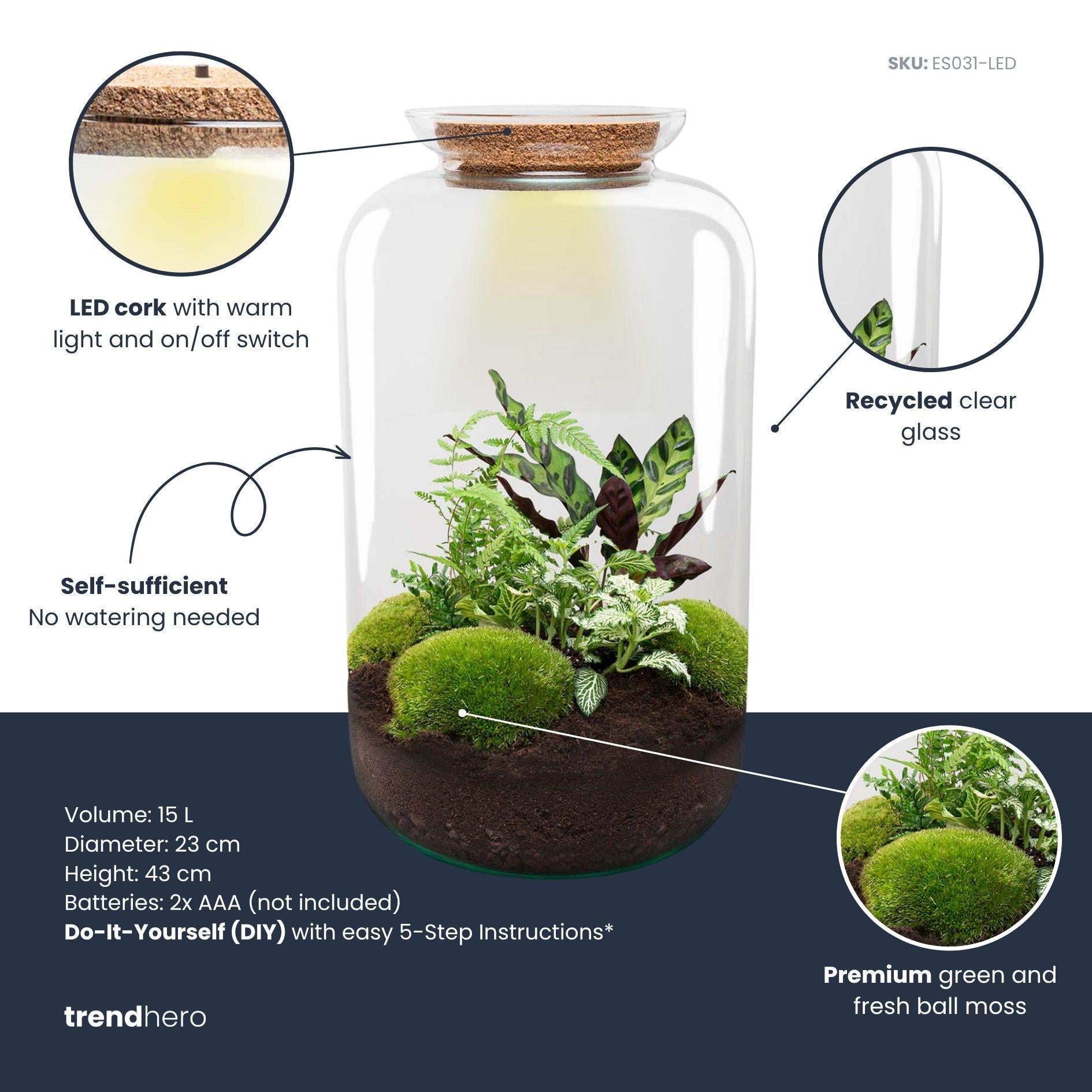 DIY Planten terrarium met licht - Sven XL Botanical - Ø 23 cm ↑ 43 cm - Rake + Shovel + Tweezer + Scissors