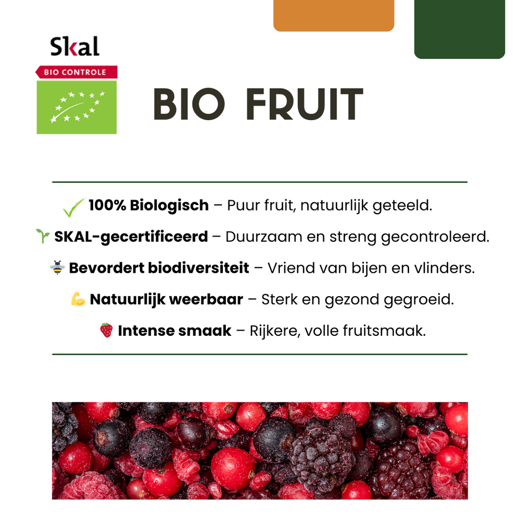 6 x Biologische kiwiplanten - Ø 13 cm - ↨ 20 cm
