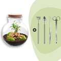 DIY Planten terrarium (met licht) - Teddy Bonsai - Ø 25 cm ↑ 26,5 cm - Rake + Shovel + Tweezer + Scissors