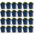 Vasteplant - Campanula portenschlagiana - Perzikbladklokje - Bodembedekkend - Roze - 24 Planten - Pot 11cm - Hoogte 15-25cm