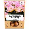 Tulpenbollen Password – 20 Stuks | KH Bloembollen® | Roze Dubbelbloemige Tulp – Vol, Zacht & Romantisch – Voor Tuin of Pot – Maat 11/12 – Vers van de Teler