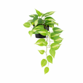 ARTIFICIAL Epipremnum Variegata - 37cm