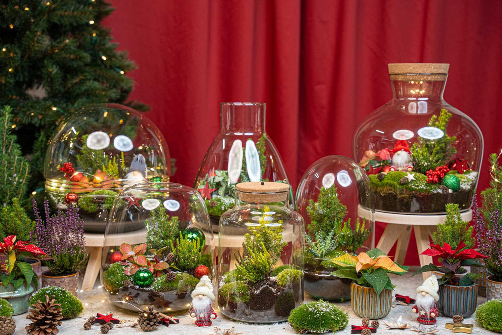 Frosty Kerstmis terrarium - Planten terrarium  DIY kit Christmas -  -  Ø 17 cm ↑ 25 cm
