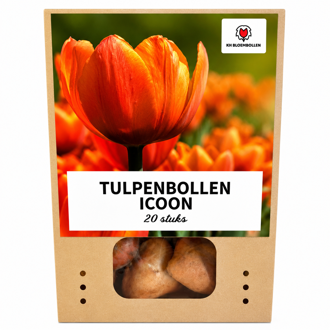 Tulpenbollen Icoon – 20 Stuks | KH Bloembollen® | Oranje Dubbelbloemige Tulp – Vol, Warm & Opvallend – Voor Tuin of Pot – Maat 11/12 – Vers van de Teler