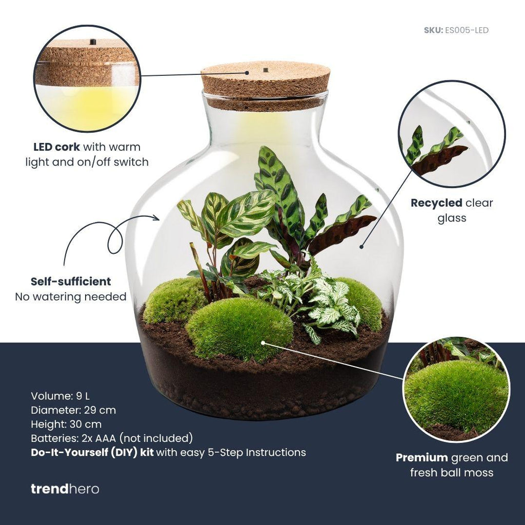 DIY Planten terrarium met licht -  Fat Joe - Ø 29 cm ↑ 30 cm - Rake + Shovel + Tweezer + Scissors