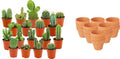 Mini Cactus Mix - 18 Stuks - Ø 8,1 cm - Hoogte: 5-10 cm - Terracotta Potten