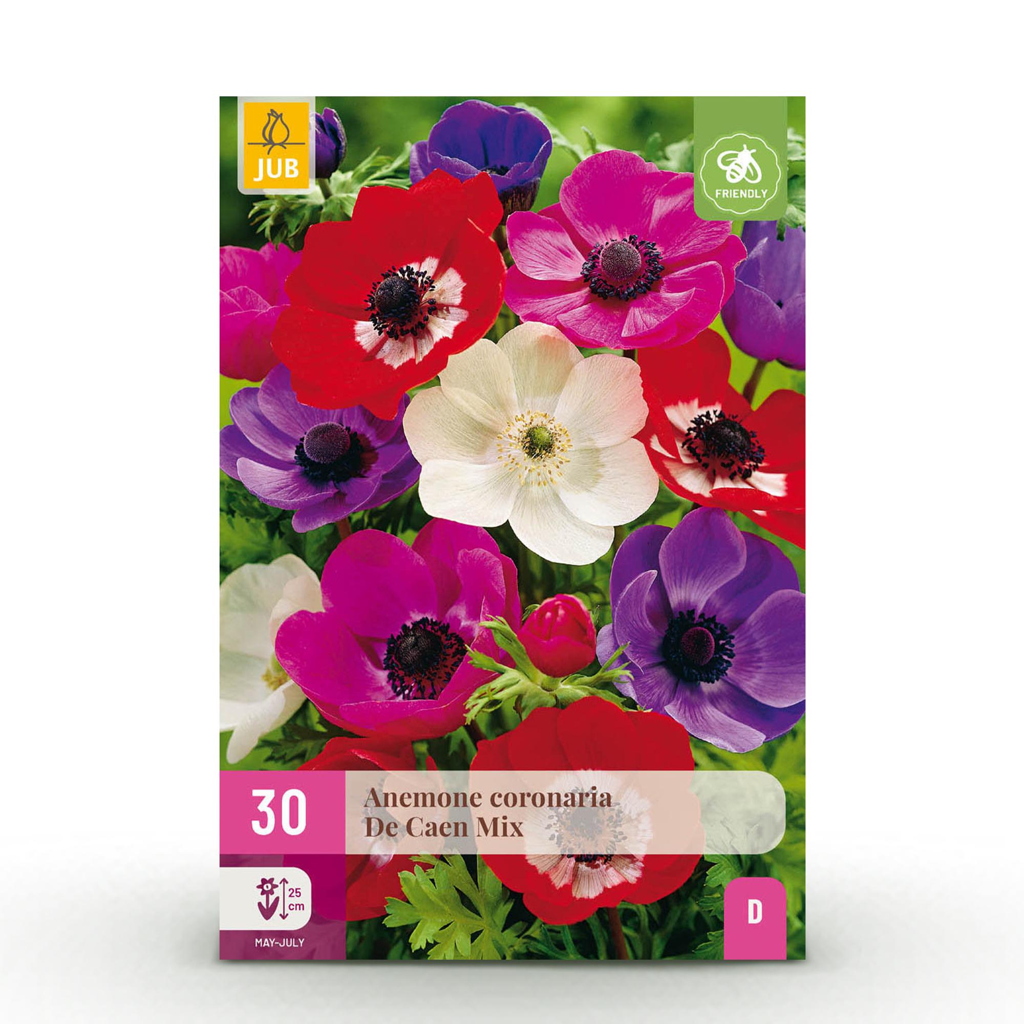 Bloembollen - Anemone de Caen mix - Diversen Kleuren - 30 stuks - Bolmaat 5/6 - XXL Pack