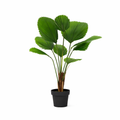 ARTIFICIAL Licuala Grandis - 104cm