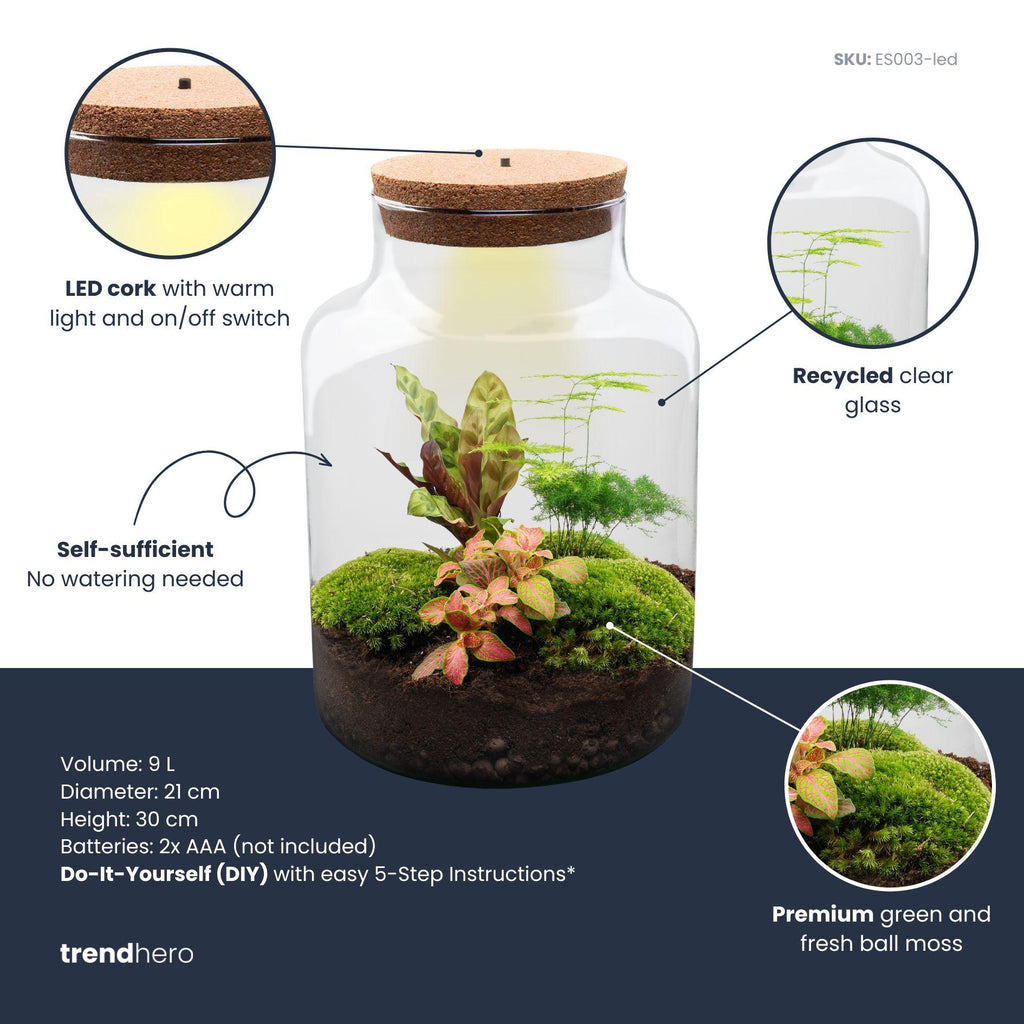 DIY Planten terrarium met licht - Milky - Ø 21 cm ↑ 30 cm - Rake + Shovel + Tweezer