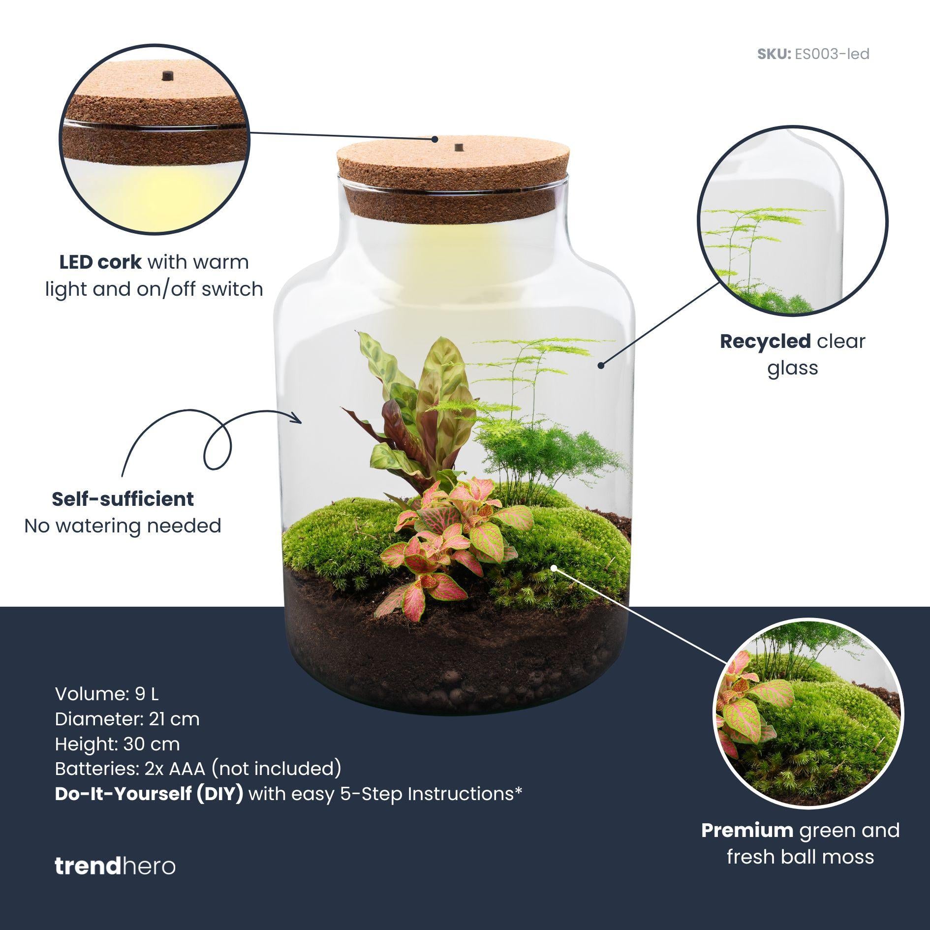 DIY Planten terrarium met licht - Milky - Ø 21 cm ↑ 30 cm - Rake + Shovel + Tweezer