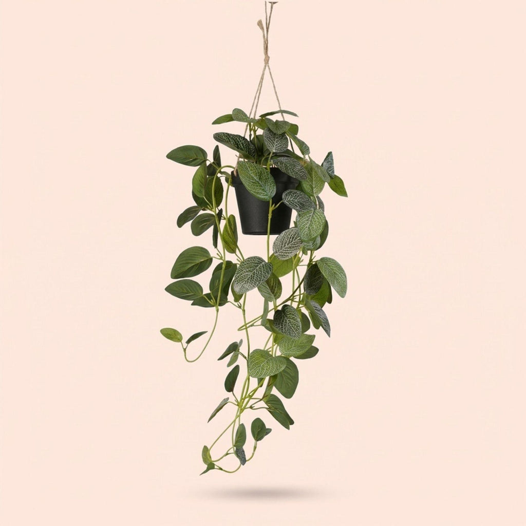 Fittonia - hangplant in pot - 70 cm - Kunstplant