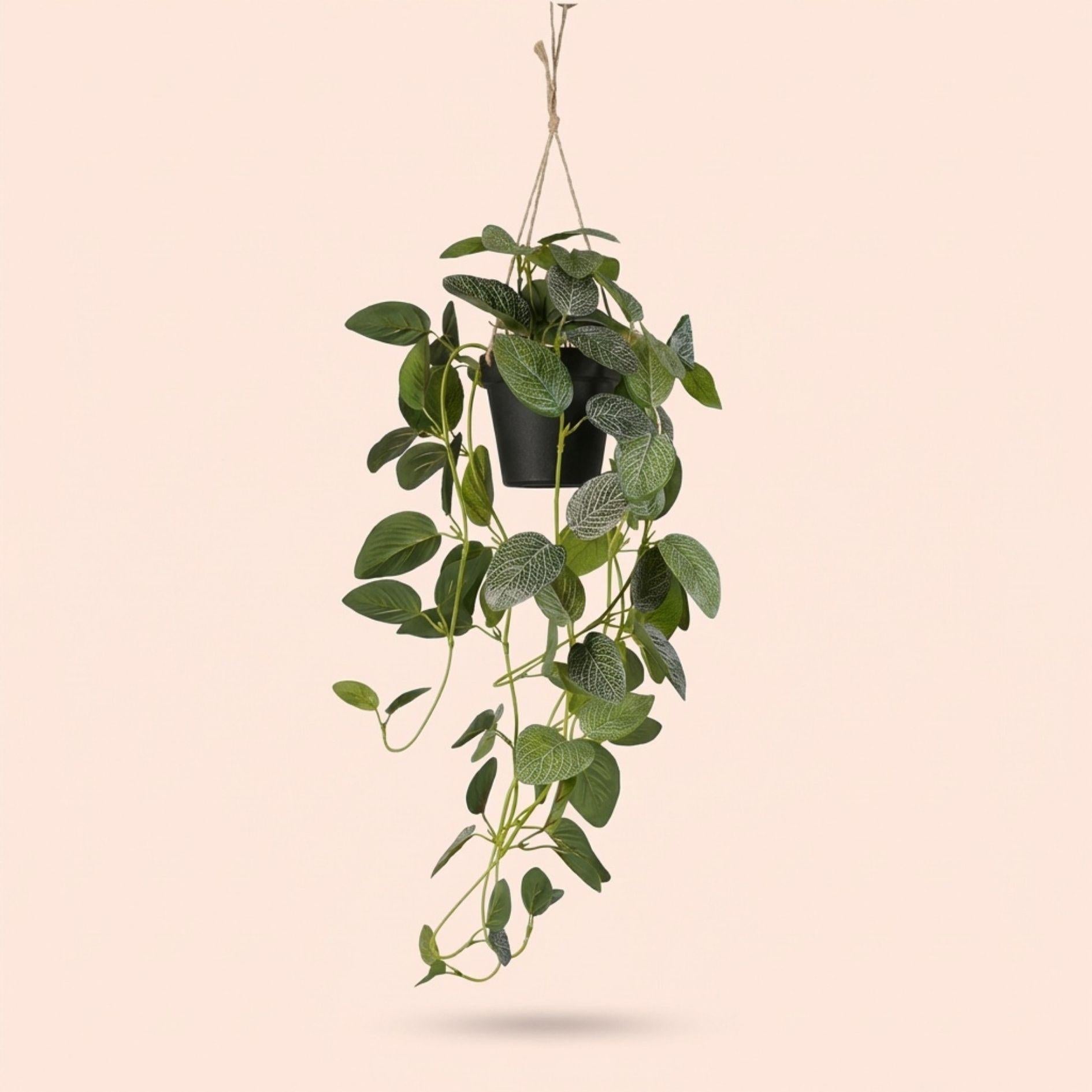 Fittonia - hangplant in pot - 70 cm - Kunstplant