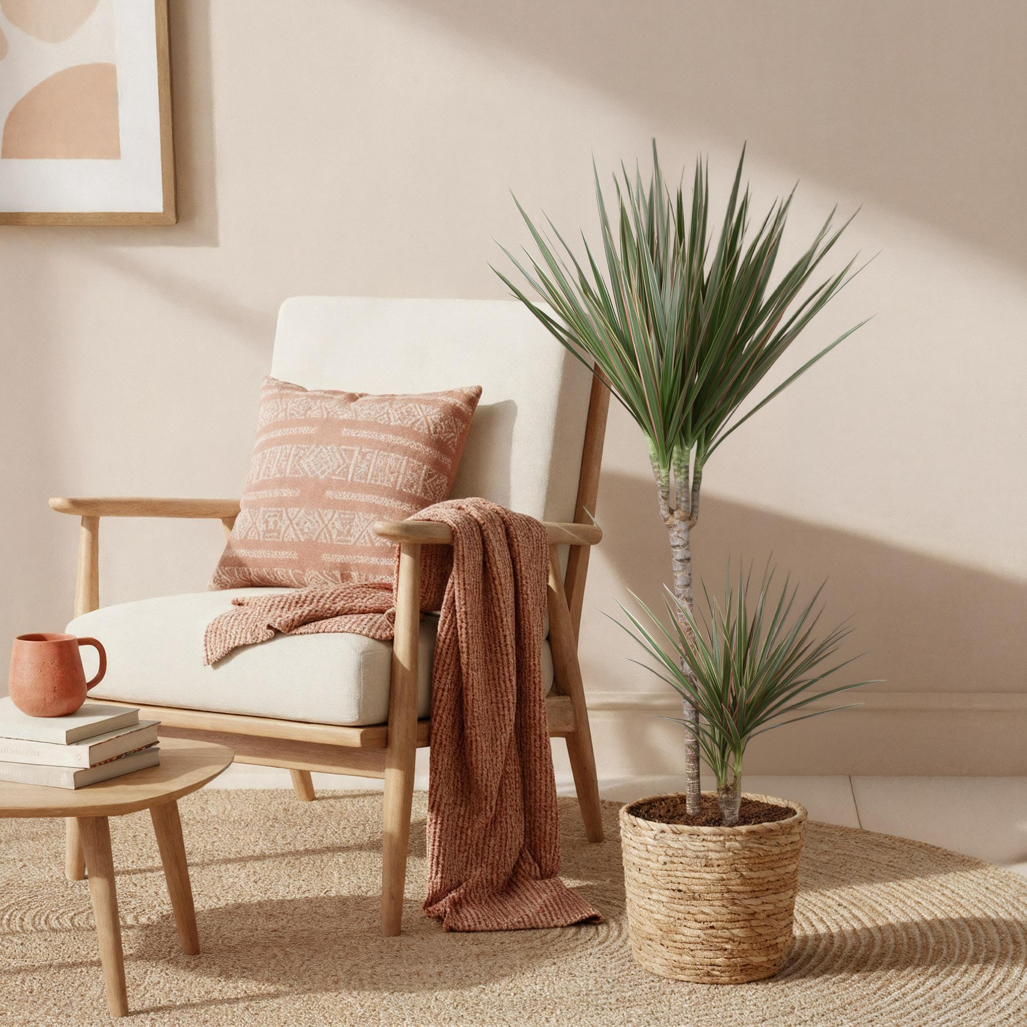 Green is... Kamerplanten - Dracaena Marginata Bicolor - Drakenbloedboom - Weinig onderhoud - Groen - 1 Plant - Pot 21cm - Hoogte 90-100cm