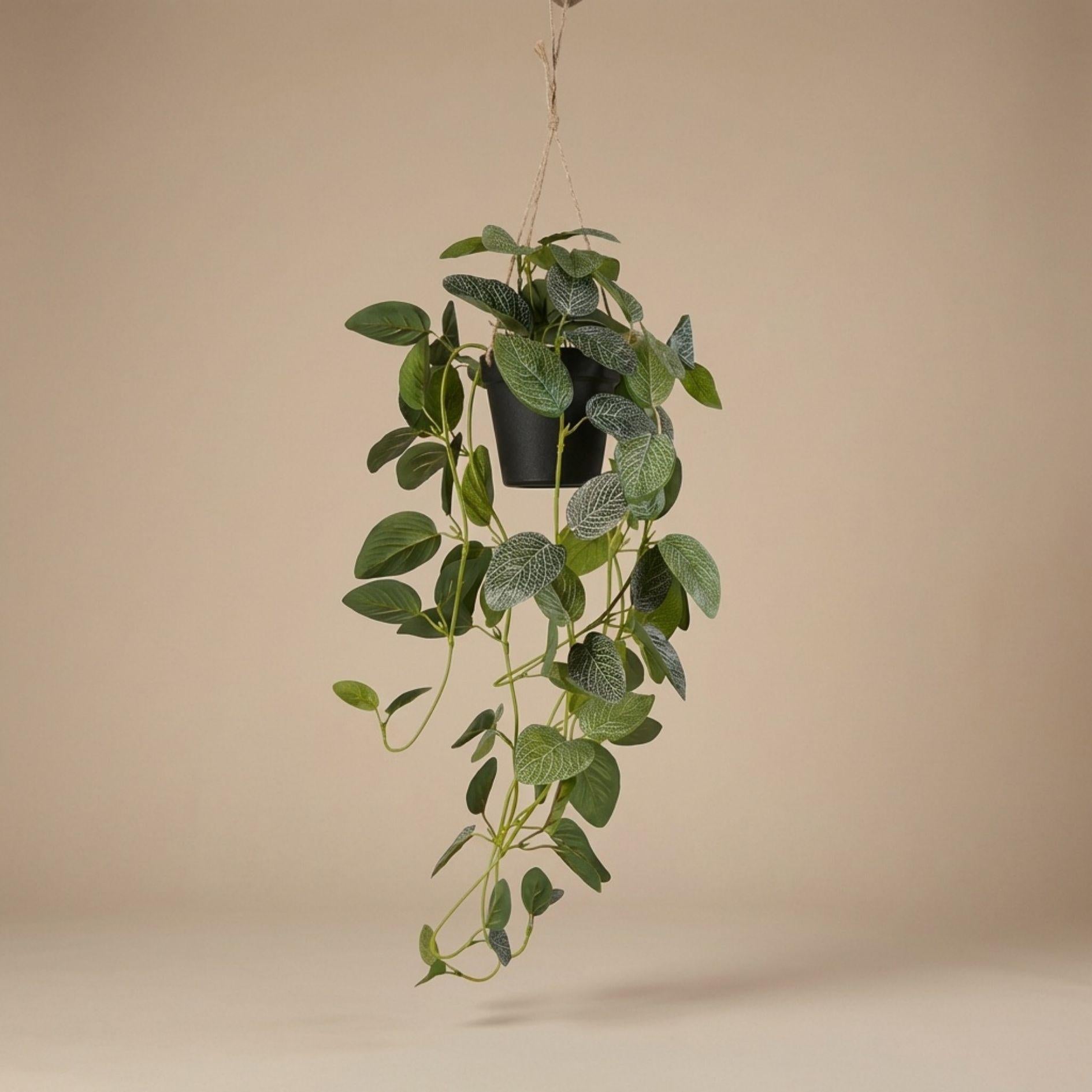 Fittonia - hangplant in pot - 70 cm - Kunstplant