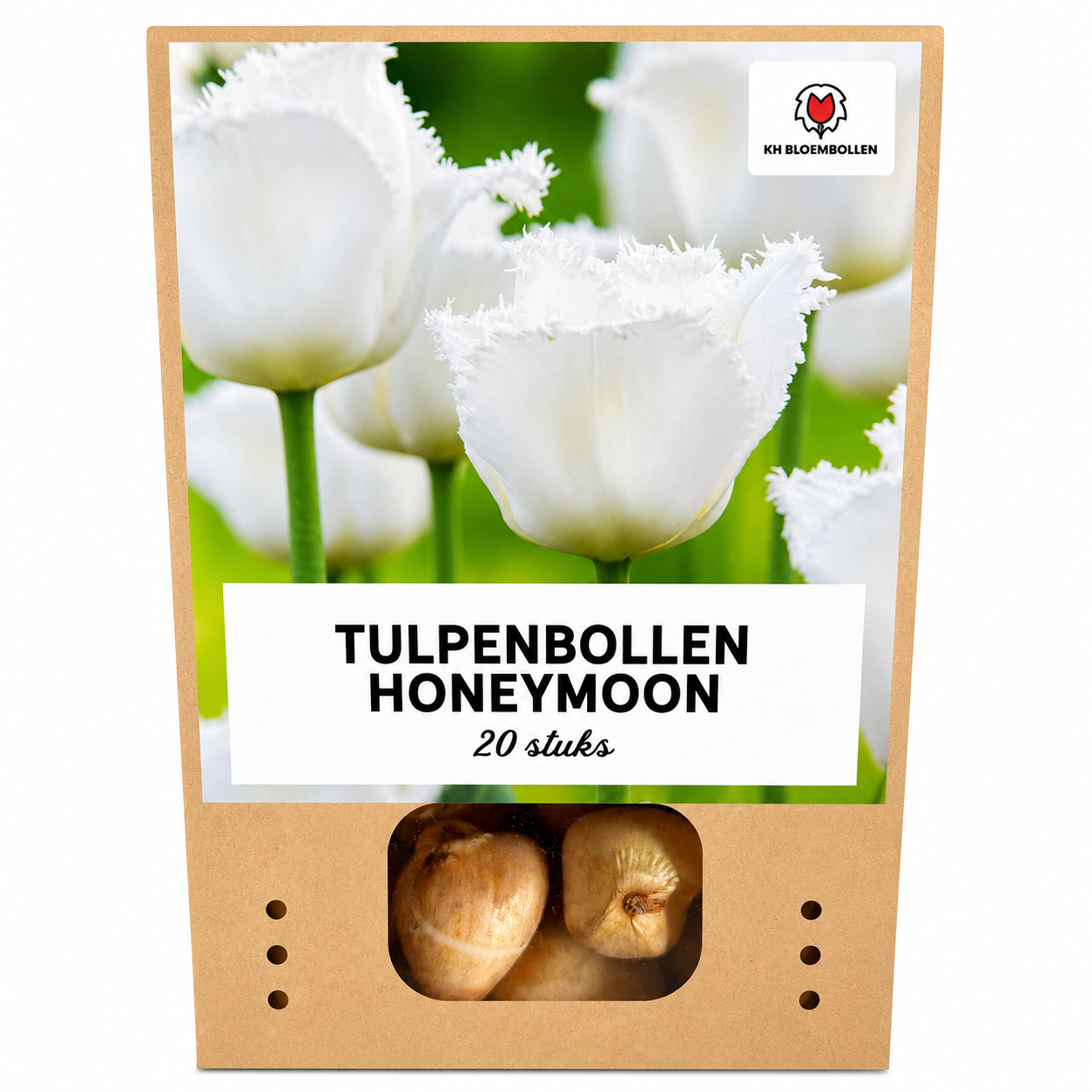 Tulpenbollen Honeymoon – 20 Stuks | KH Bloembollen® | Witte Kartelrand Tulp – Elegant & Uniek – Cadeau voor Tuin of Pot – Maat 11/12 – Vers van de Teler!