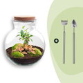 DIY Planten terrarium (met licht) - Teddy Bonsai - Ø 25 cm ↑ 26,5 cm - Rake + Shovel