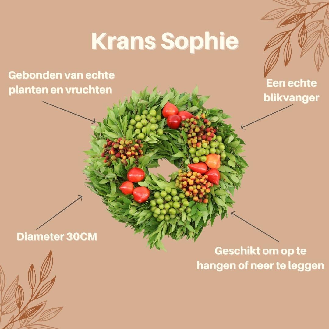 Echte krans Sophie | Ø diameter 30 cm