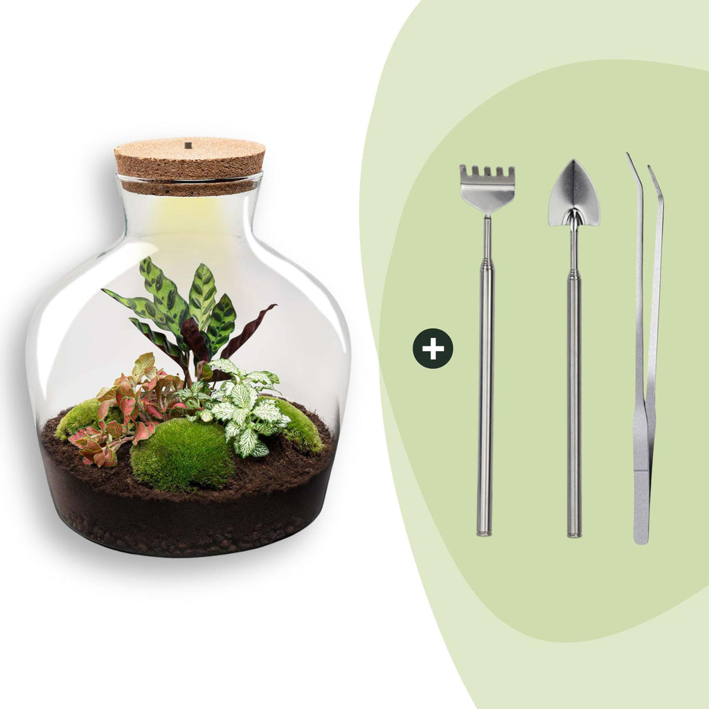 DIY Planten terrarium met licht - Fat Joe Red - Ø 29 cm ↑ 30 cm - Rake + Shovel + Tweezer