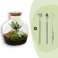 DIY Planten terrarium met licht - Fat Joe Red - Ø 29 cm ↑ 30 cm - Rake + Shovel + Tweezer