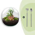 DIY Planten terrarium tweedelig bolglas - Dome XL Bonsai - Ø 28 cm ↑ 28 cm - Rake + Shovel