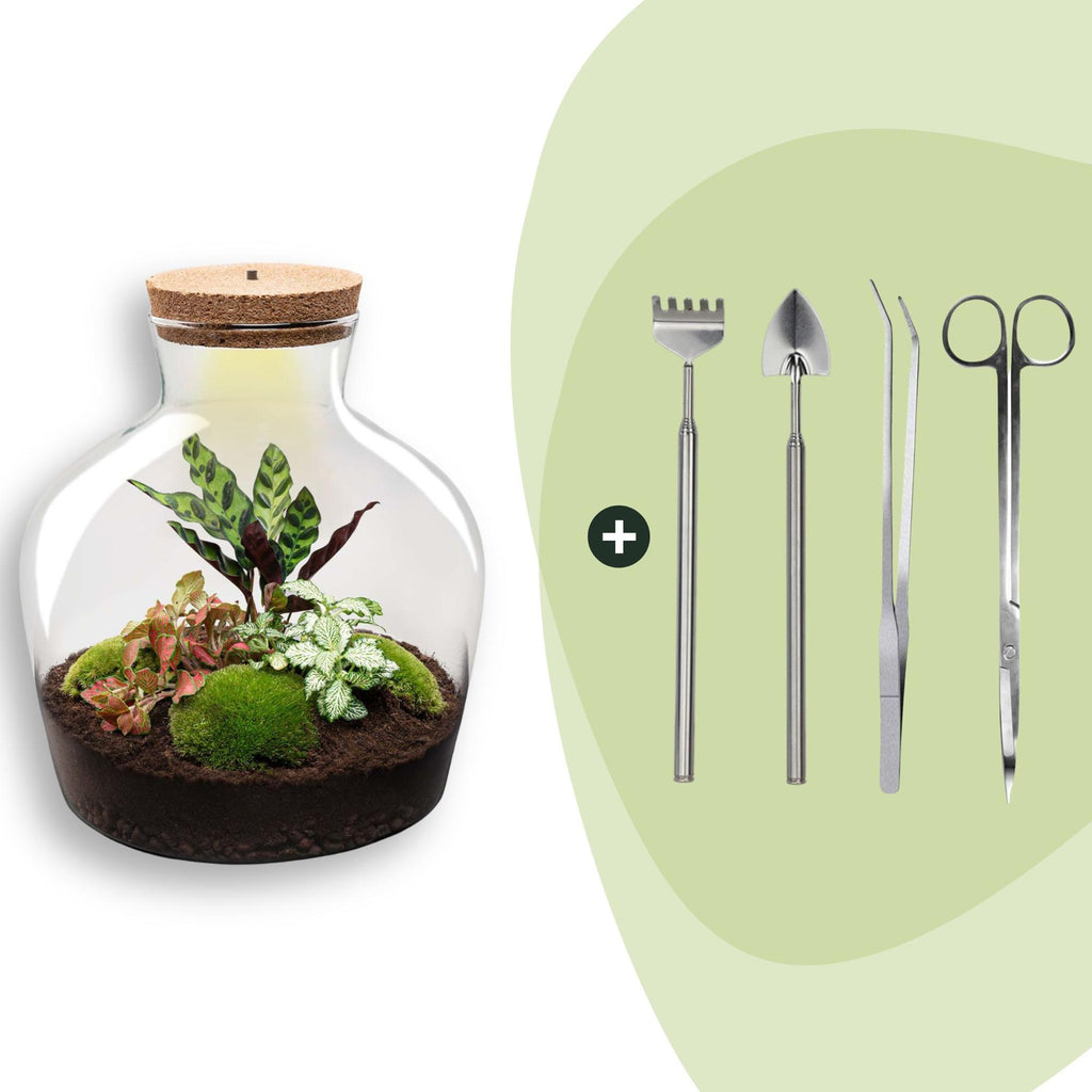 DIY Planten terrarium met licht - Fat Joe Red - Ø 29 cm ↑ 30 cm - Rake + Shovel + Tweezer + Scissors