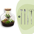 DIY Planten terrarium met licht - Fat Joe Red - Ø 29 cm ↑ 30 cm - Rake + Shovel + Tweezer + Scissors