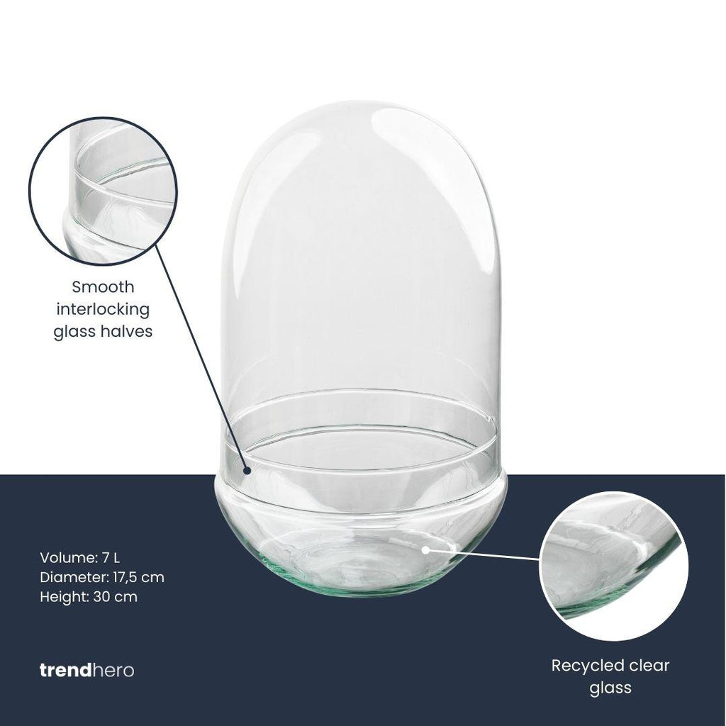 Terrarium fles tweedelig - Egg XL - Ø 17,5 cm ↑ 30 cm