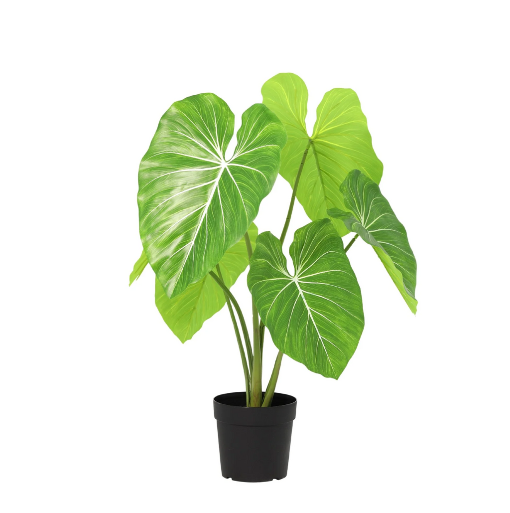ARTIFICIAL Philodendron  - 100cm