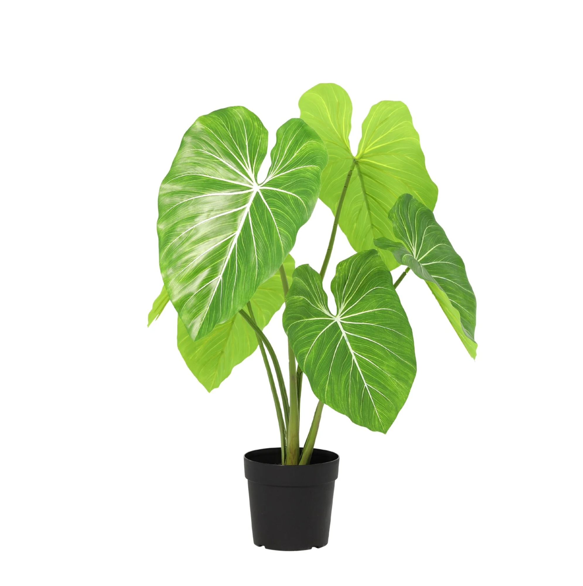 ARTIFICIAL Philodendron  - 100cm