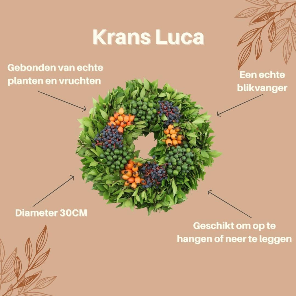 Echte krans Luca | Ø diameter 30 cm