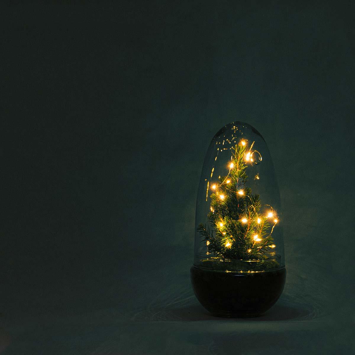 DIY terrarium - Egg Christmas - Kerst decoratie ↕ 25 cm