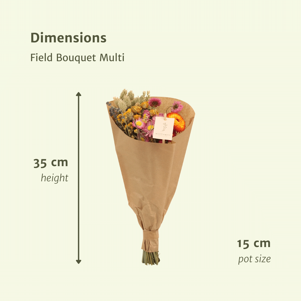 Droogbloemen Field Bouquet Multi - Ø15cm - ↕35cm