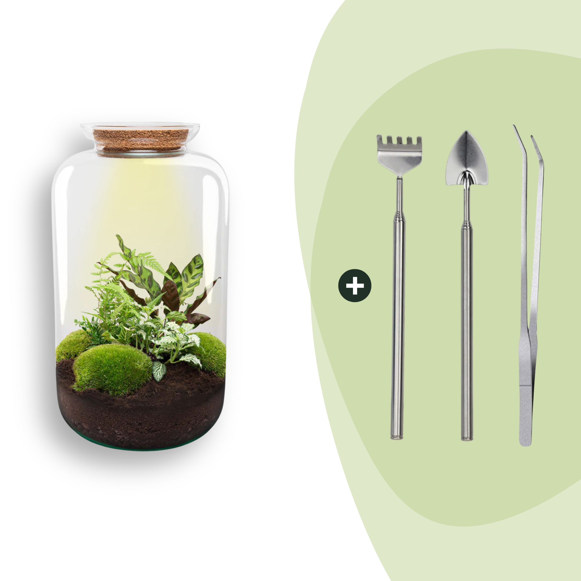 DIY Planten terrarium met licht - Sven XL Botanical - Ø 23 cm ↑ 43 cm - Rake + Shovel + Tweezer