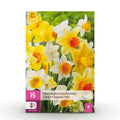 Bloembollen - Narcis Large Cupped mix - Kleur Geel en Wit - 15 stuks - Bolmaat 12/14 - XXL Pack