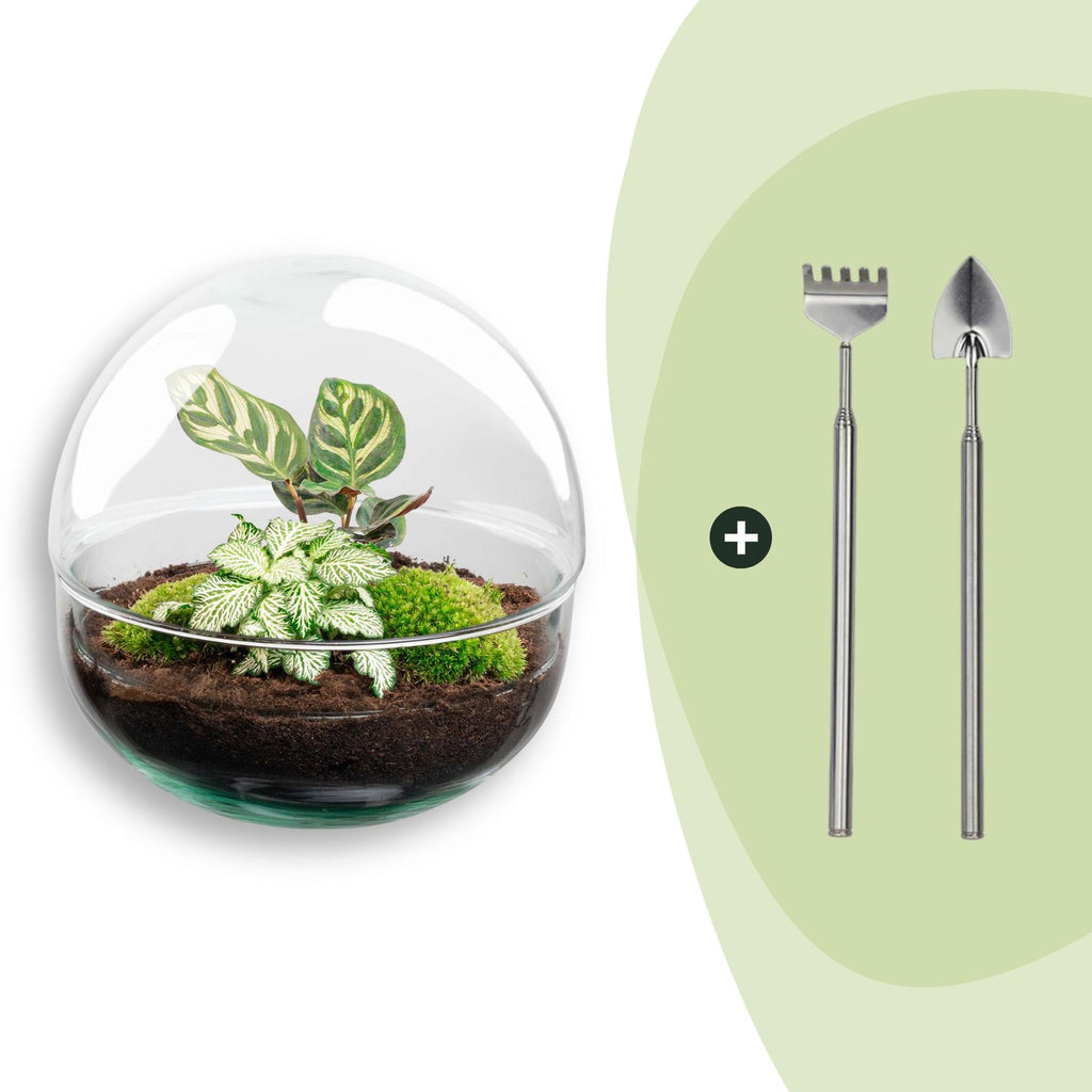 DIY Planten terrarium tweedelig bolglas - Dome - Ø 20 cm ↑ 20 cm - Rake + Shovel