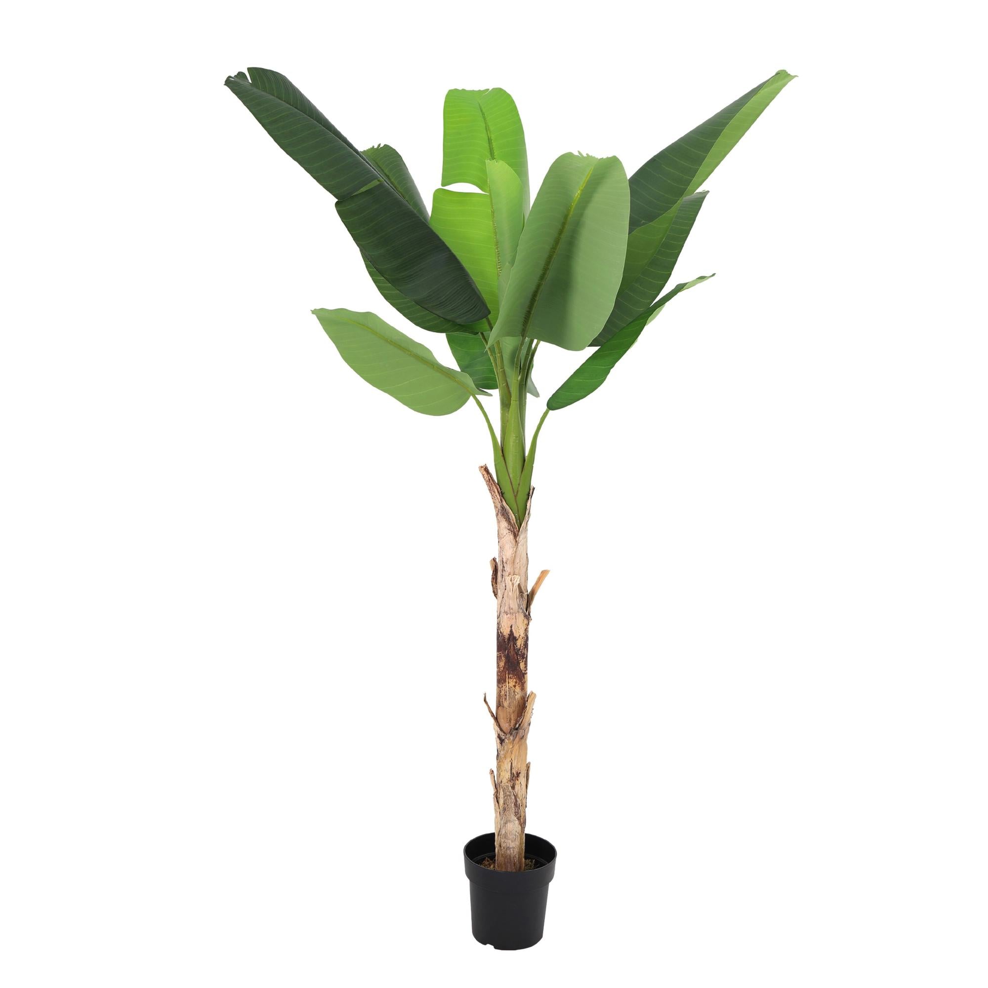 ARTIFICIAL Bananenplant Musa - 190cm