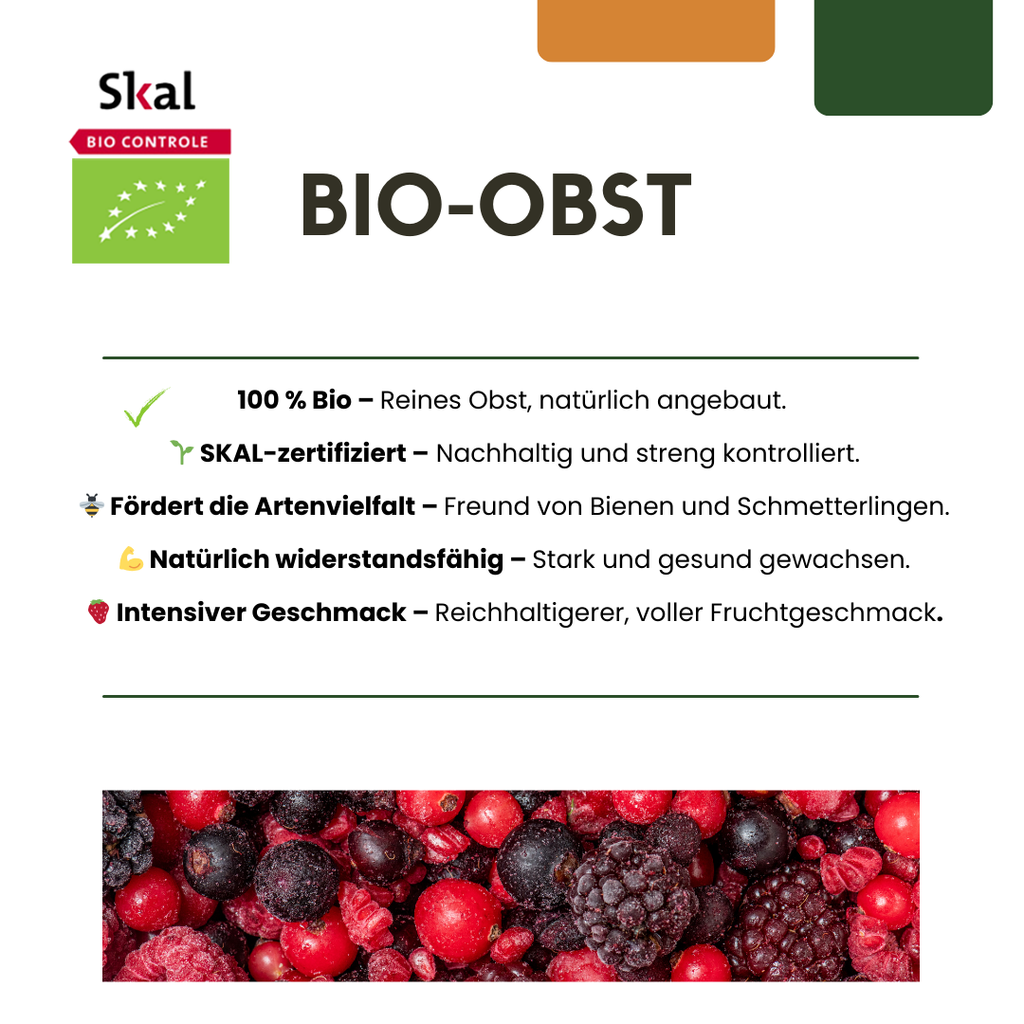 "Vruchten feestje" BIO Fruitplanten mix set van 3 verschillende soorten