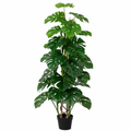 ARTIFICIAL Monstera Monkey Leaf - 125cm