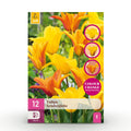 Bloembollen - Tulp Vendeeglobe - Kleur Geel - 12 stuks - Bolmaat 11/12 - XXL Pack