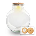 Terrarium fles met (LED) kurk - Bolder Bob - Ø 30 cm ↑ 31 cm - Met LED-kurk