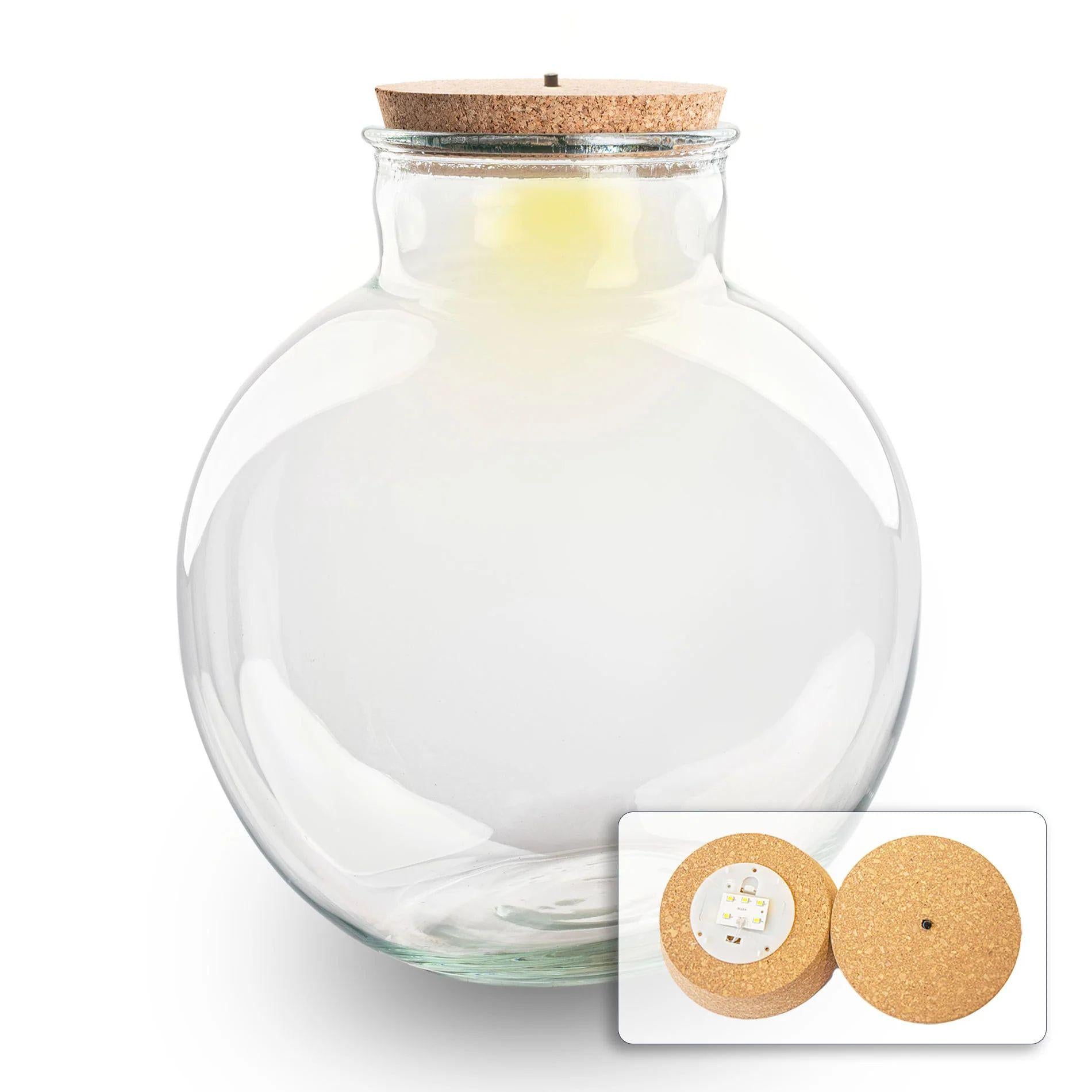 Terrarium fles met (LED) kurk - Bolder Bob - Ø 30 cm ↑ 31 cm - Met LED-kurk