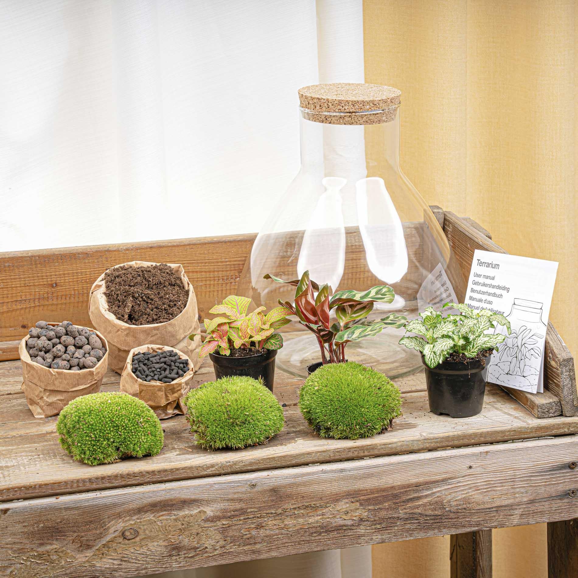DIY Planten terrarium met licht - Sam XL Red - Ø 30 cm ↑ 32 cm - Rake + Shovel