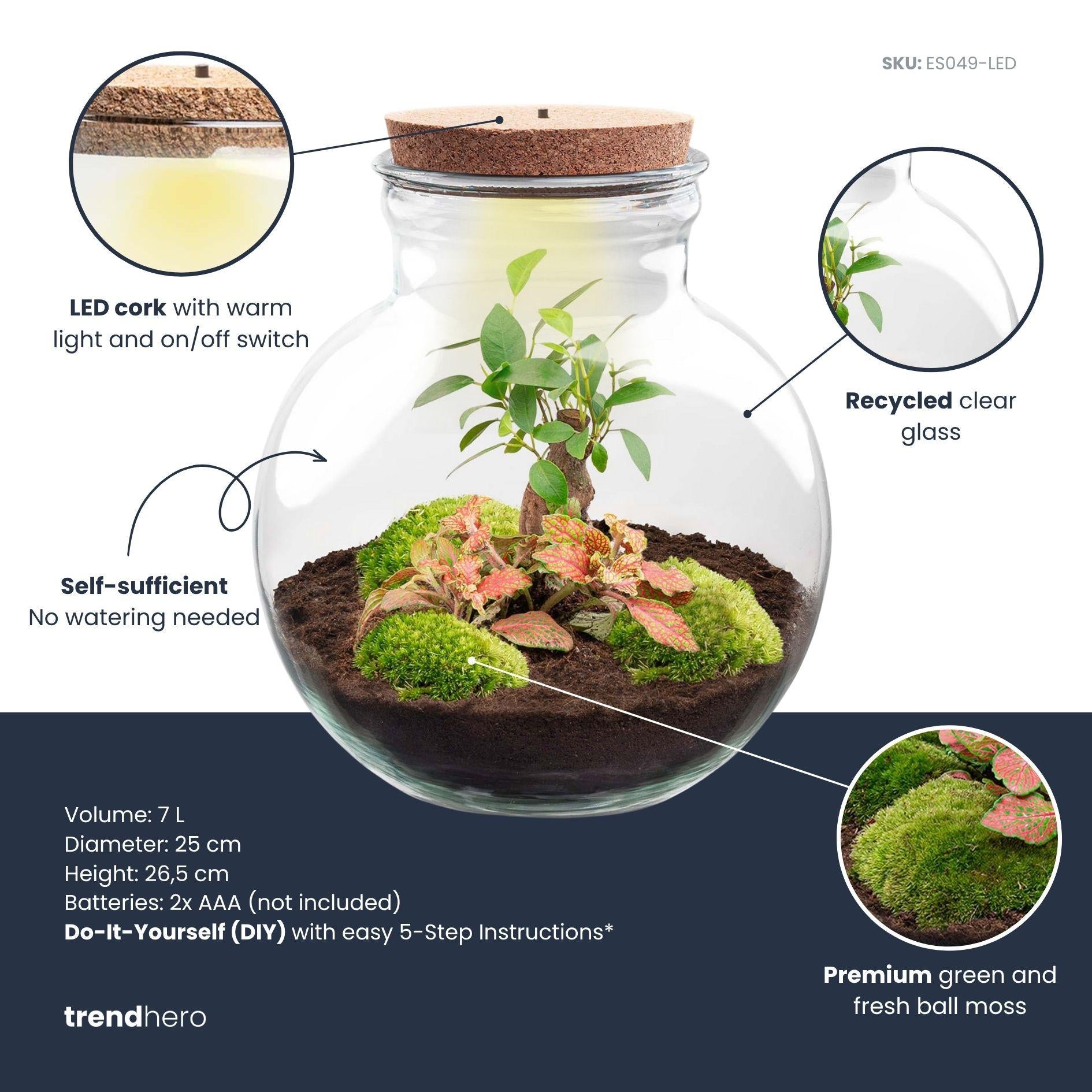 DIY Planten terrarium (met licht) - Teddy Bonsai - Ø 25 cm ↑ 26,5 cm - Met LED-kurk