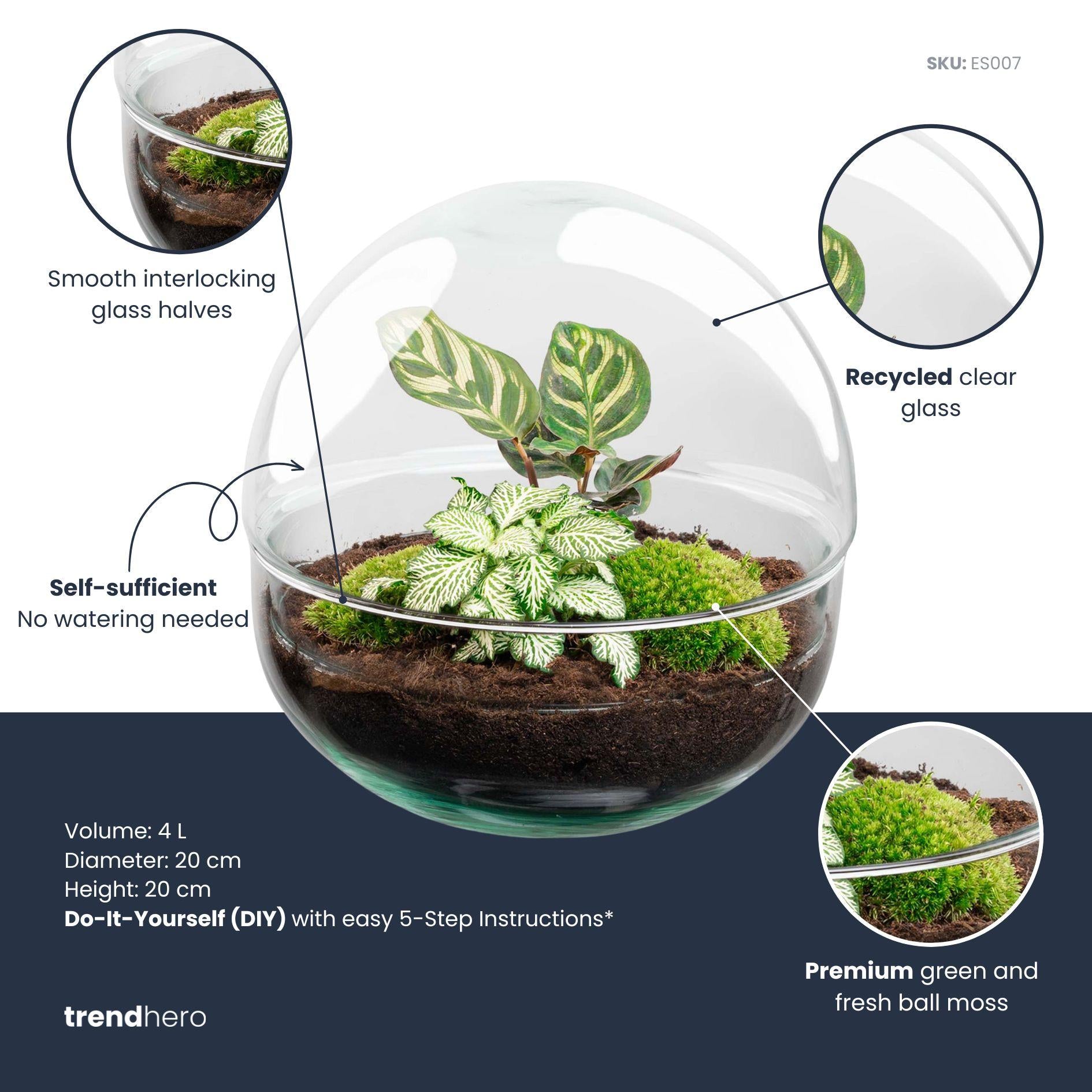 DIY Planten terrarium tweedelig bolglas - Dome - Ø 20 cm ↑ 20 cm - Rake + Shovel